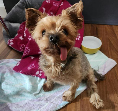 sammy