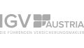 logo_igv